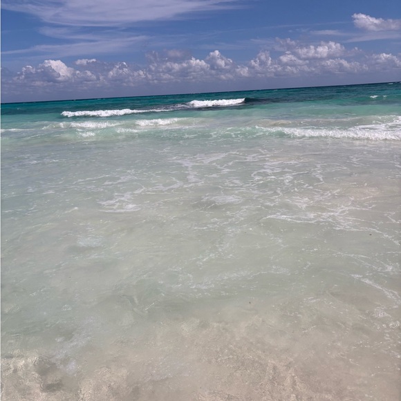 Meet your Posher, Cynthia - Picture 1 of 1